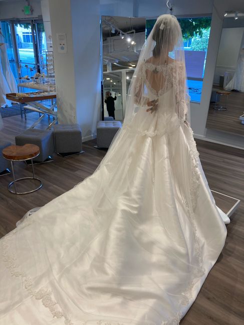 What kind of veil with this dress? 3