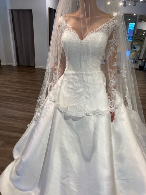 What kind of veil with this dress? 4