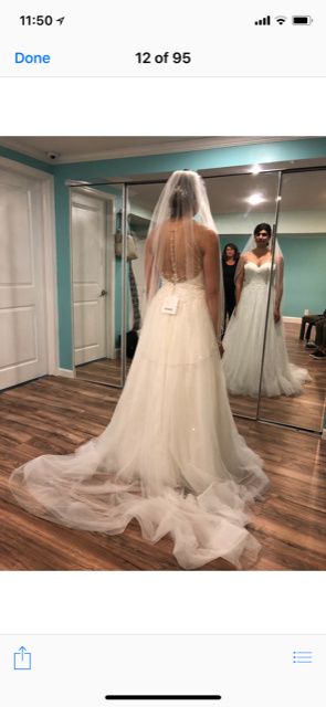 back of dress with veil
