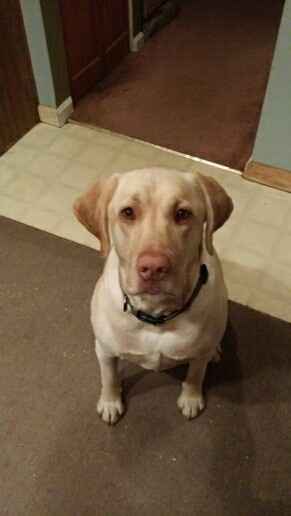 NWR: post pics of your pets!!