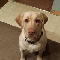 NWR: post pics of your pets!!