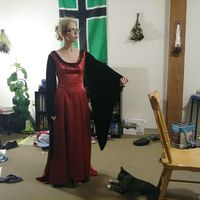 Finally finished my dress!