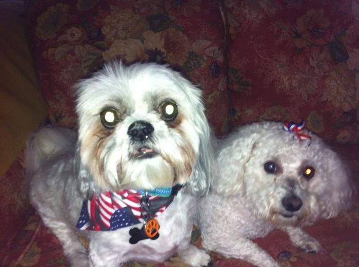 NWR For Fun. Furry Friends!