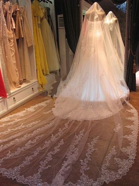 What do you think of the veil?