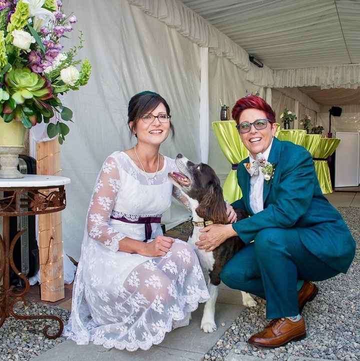 BAM! Mostly non-pro pix.