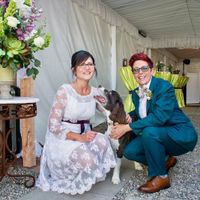 BAM! Mostly non-pro pix.