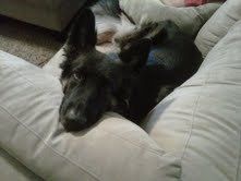 Adopted our 1st baby! (PICS)