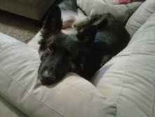 Adopted our 1st baby! (PICS)