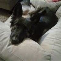 Adopted our 1st baby! (PICS)