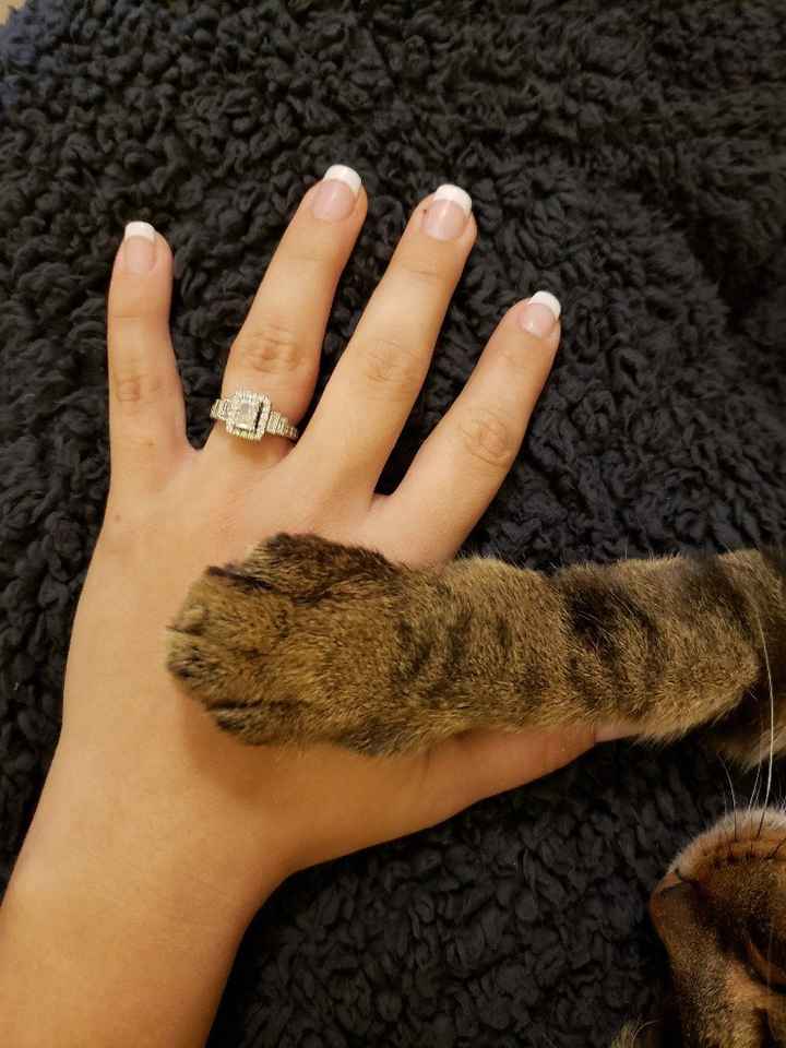 Rings💍💍💍 - 1