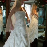 NEED ALL THE ADVICE I CAN GET