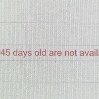 Still haven't Received our Marriage Certificate? - 1