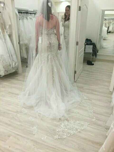 Birdcage or cathedral veil?