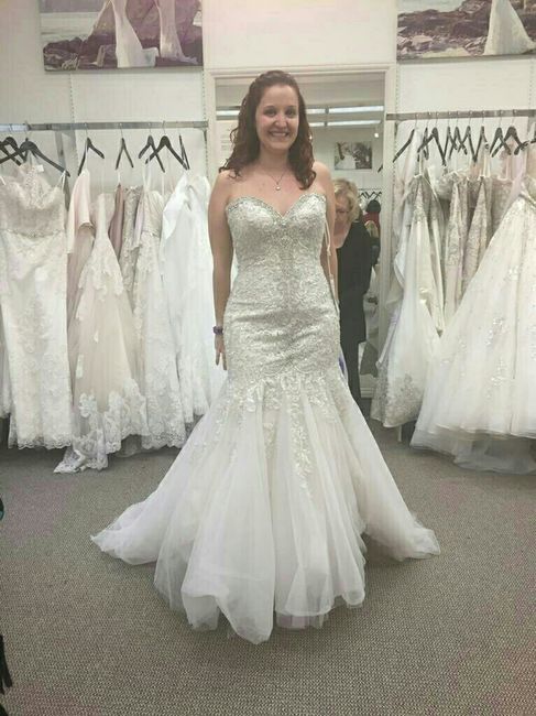 Show me your Allure Romance Dresses!