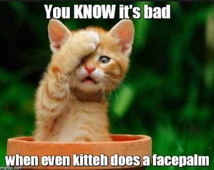 Oh dear... MIL