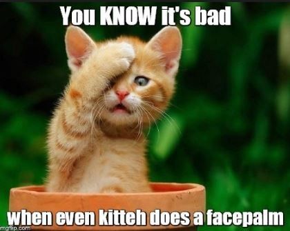 Oh dear... MIL