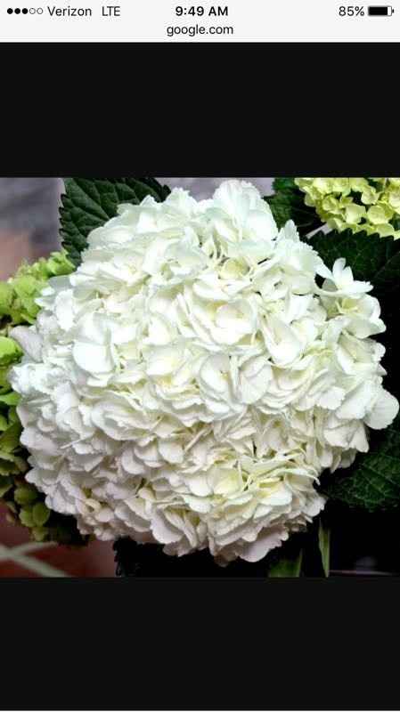 Centerpiece flowers