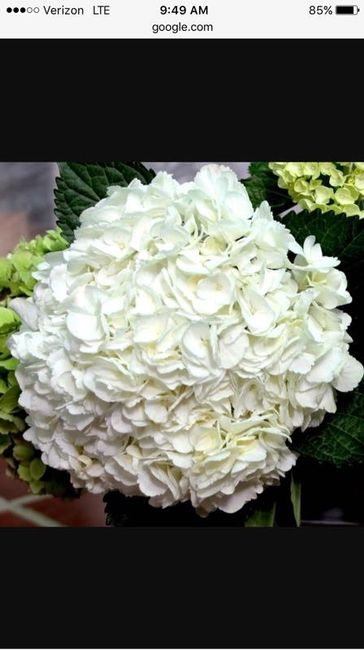 Centerpiece flowers