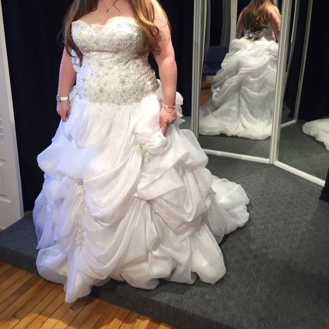 Help searching for a princess fairytale dress