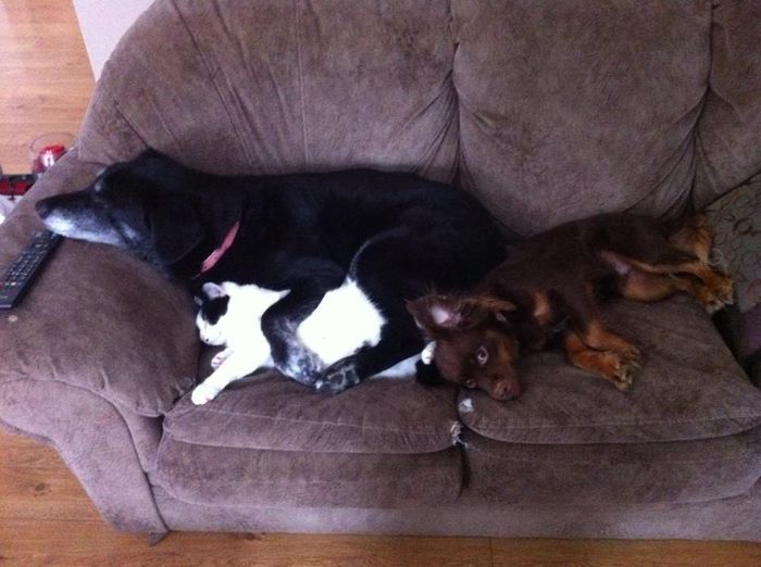 NWR- Furbaby Friday