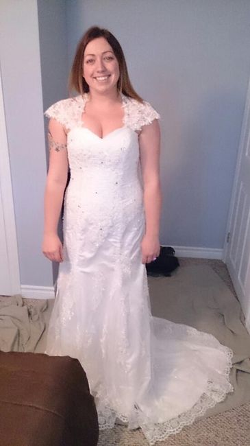 Wedding Dress - Two to choose from!