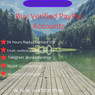 PayPal2343