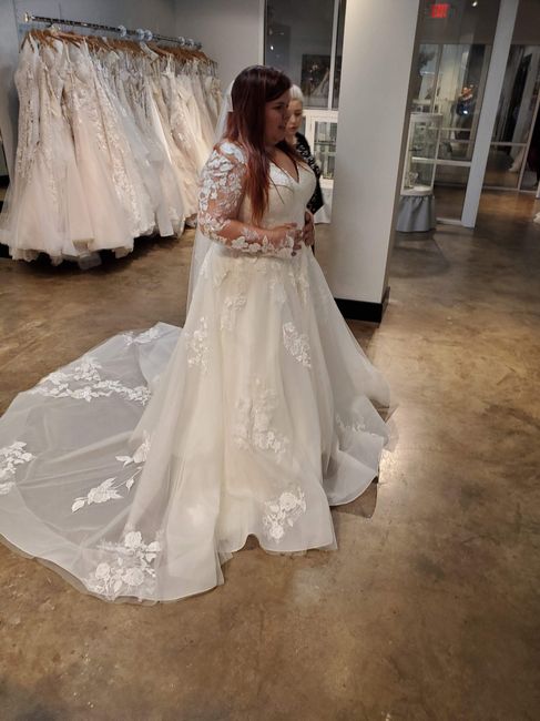 Any Plus Size Brides Out There? 9