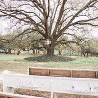 How are you decorating your wedding aisle? - 1