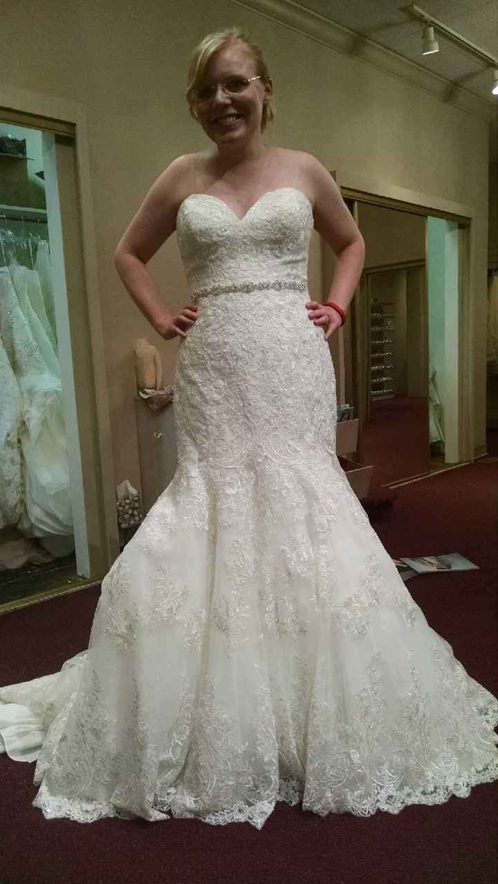 Introduction, because why not?