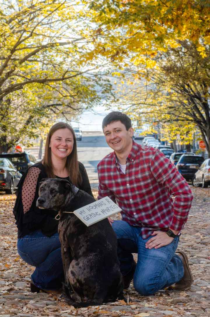 engagement pics - show me your favorite picture - 2