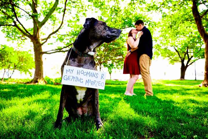 Pets in Engagment Photos - 1