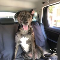 Let's see your fur babies!! - 1