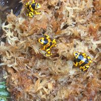 Let's see your fur babies!! - 3