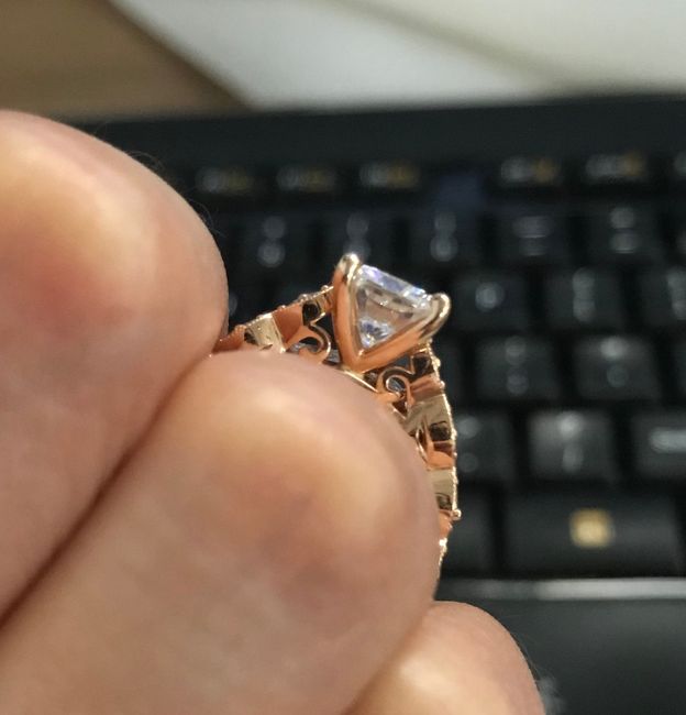 E-Ring Side View