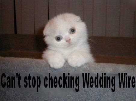 WW Wedding Flashbacks! Share your pics, vets! ;) *PICS*