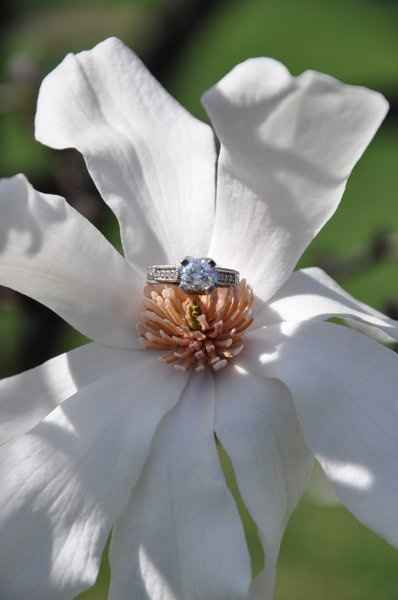 E-Pics!!!!  Updated - Lots of Pics :)