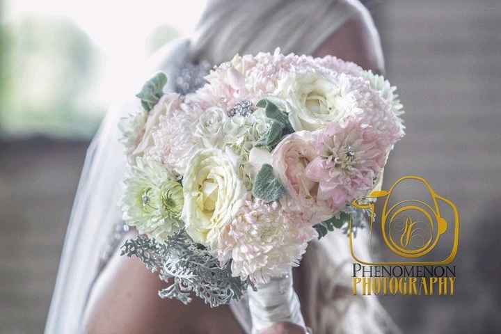 Pro Pic Teasers!!!!  *Pics Included*