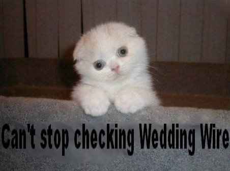 WW Wedding Flashbacks! Share your pics, vets! ;) *PICS*