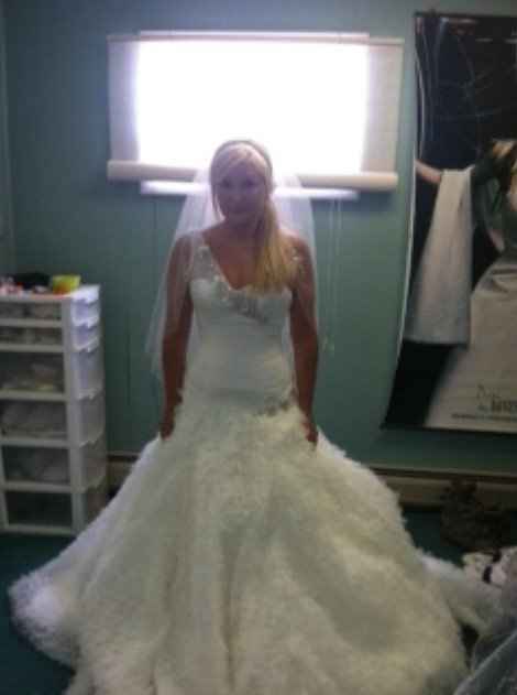 1st Dress Fitting Yesterday!!  *Pics*