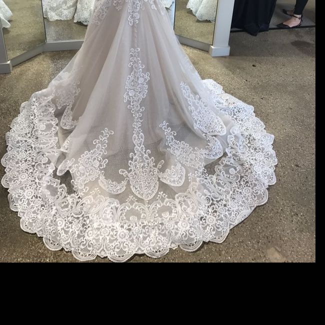 Dress decisions: train or no train? - 1