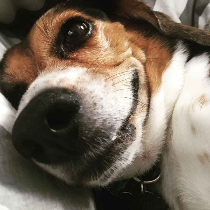 NWR- let me see your fur babies, awake and scared