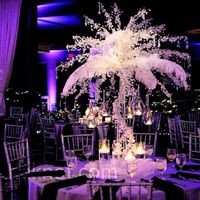 Feather centerpieces?