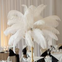 Centerpieces Help!!Feathers???