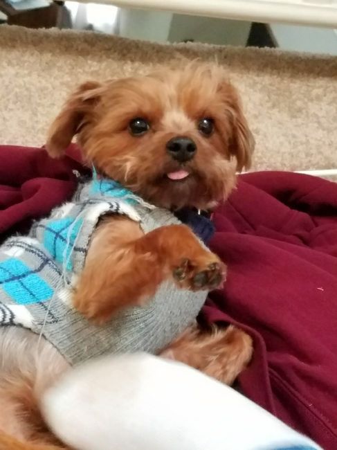 NWR- let me see your fur babies, awake and scared