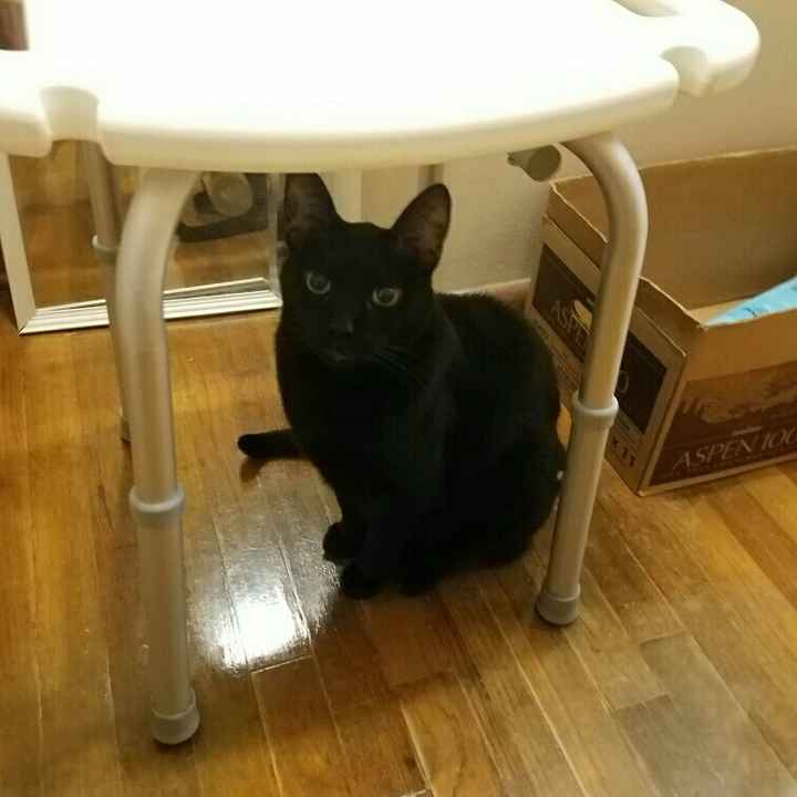 NWR: I didn't get the promotion