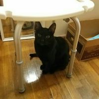 NWR: I didn't get the promotion