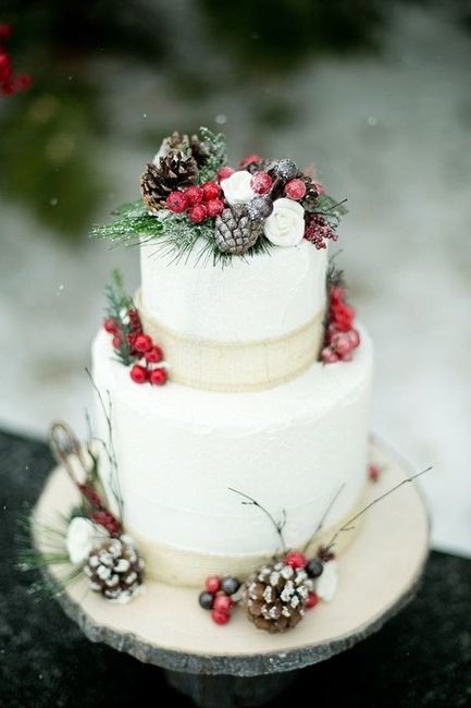Pinecones on our cake 2