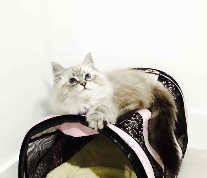 I LOVE my fur baby!