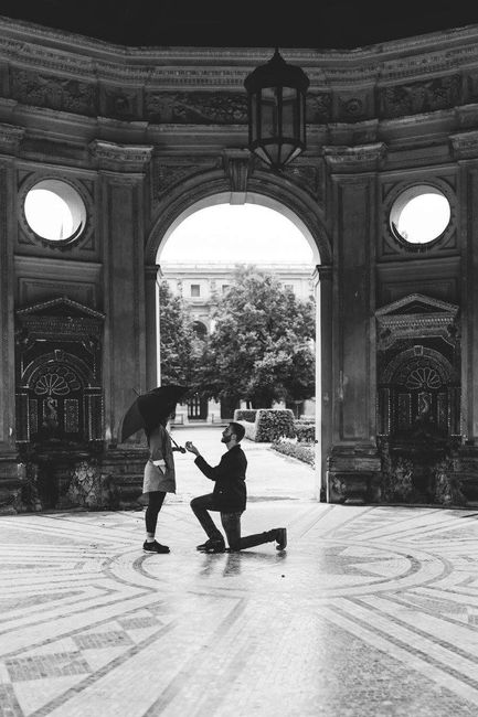 Your Proposal