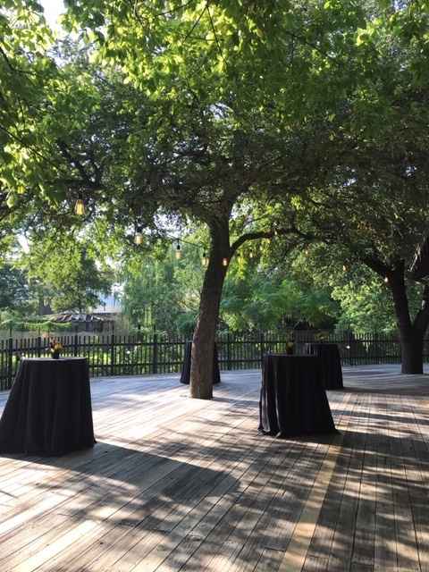 Texas venues- less known, smaller price tag? - 1